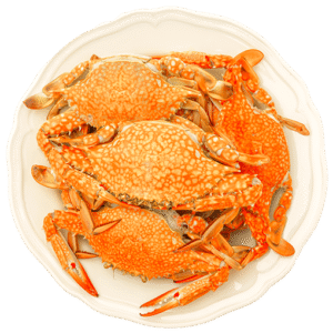 Steamed Crabs Dish
